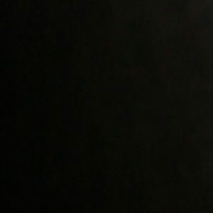 ISO: simply southern shirts